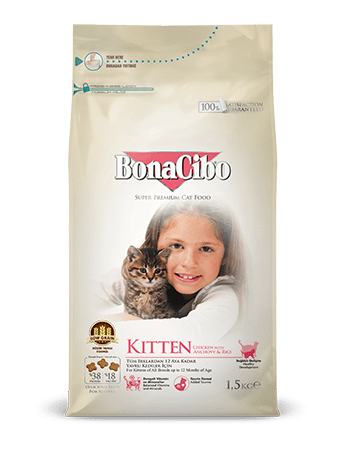 Bonacibo Kitten Package