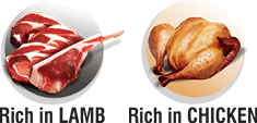 Kucho Rich in Lamb-Chicken