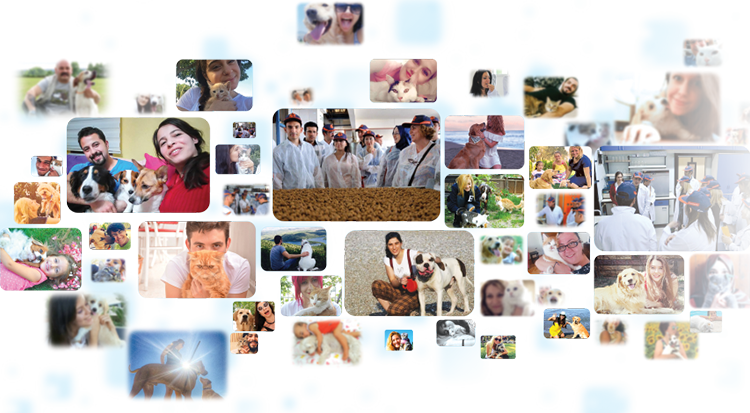 Temizmama B2C Web Shop