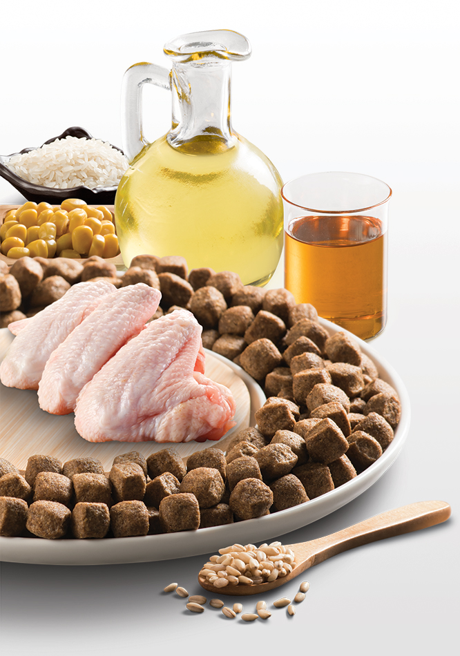 Kennel Premium Dog Food Ingredients Kennel Premium Dog Food Ingredients