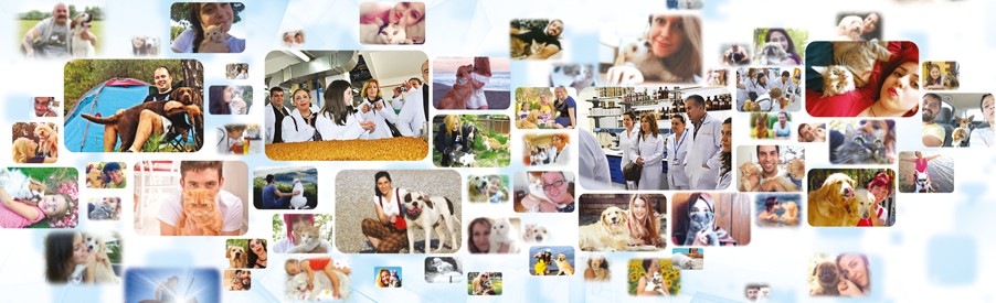 Temizmama B2C Web Shop Banner