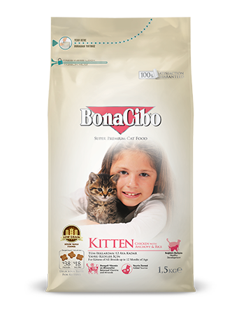 Bonacibo Kitten Package
