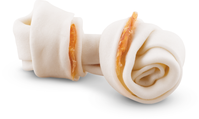 Kennel Knotted Bone Kennel Knotted Bone