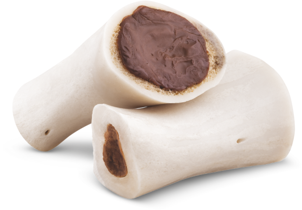 Kennel-Marrow-Bone-