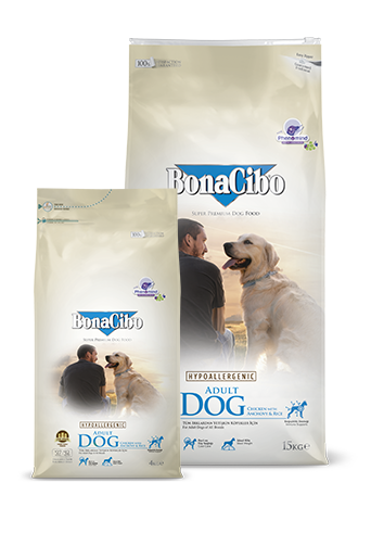 Bonacibo Adult Dog Package