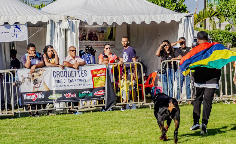 Mauritius’ta Düzenlenen Animalia Dog Show’da Bonacibo’ya Yoğun İlgi